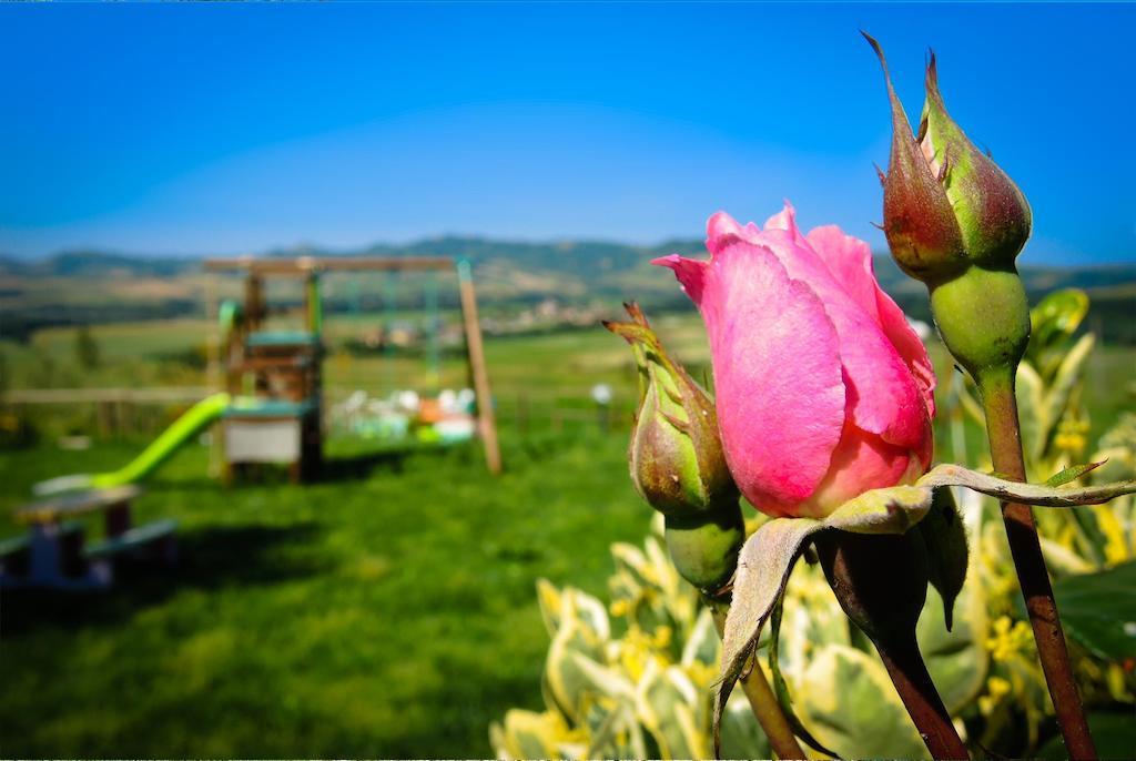 Agriturismo Il Canterino Guardistallo Bagian luar foto
