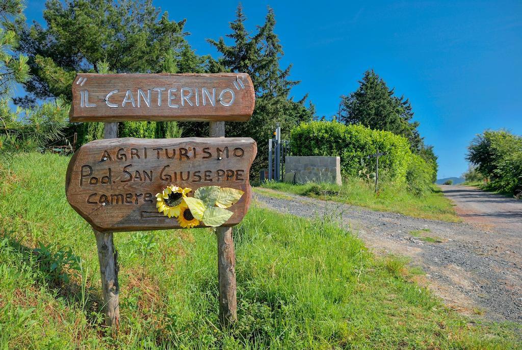 Agriturismo Il Canterino Guardistallo Bagian luar foto