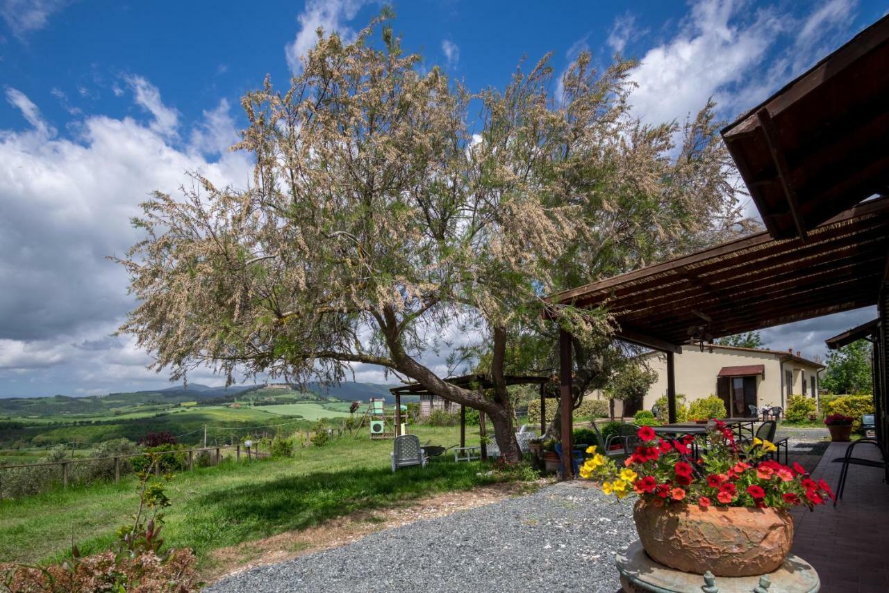 Agriturismo Il Canterino Guardistallo Bagian luar foto