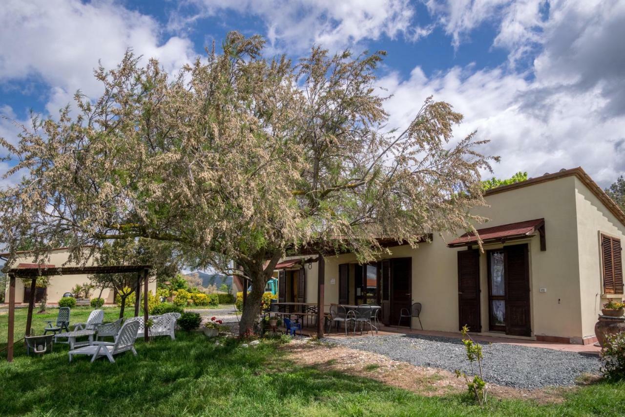 Agriturismo Il Canterino Guardistallo Bagian luar foto