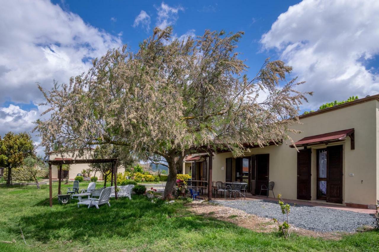 Agriturismo Il Canterino Guardistallo Bagian luar foto